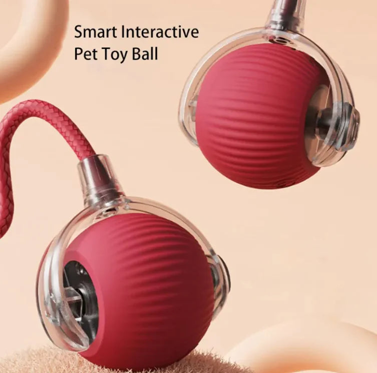 Pets Ball Toy