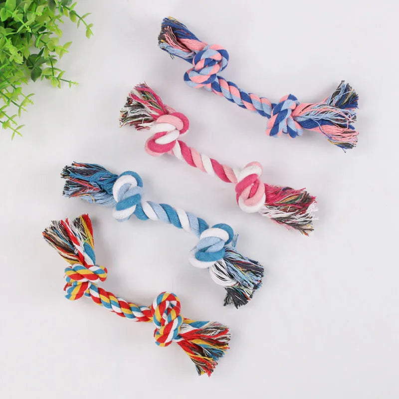 Pet dog bites rope toy