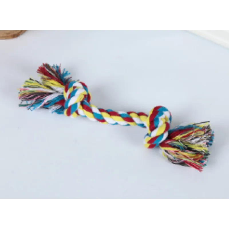 Pet dog bites rope toy