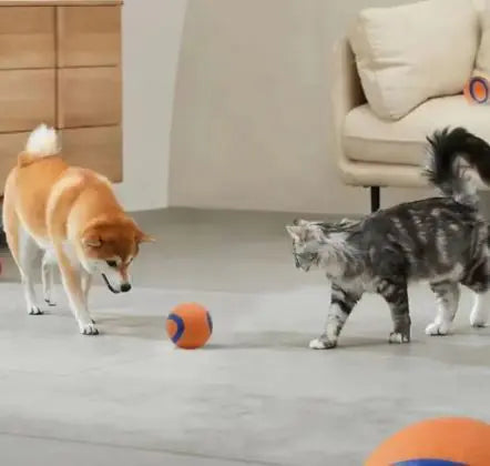 Dog Fetch Toy Ball