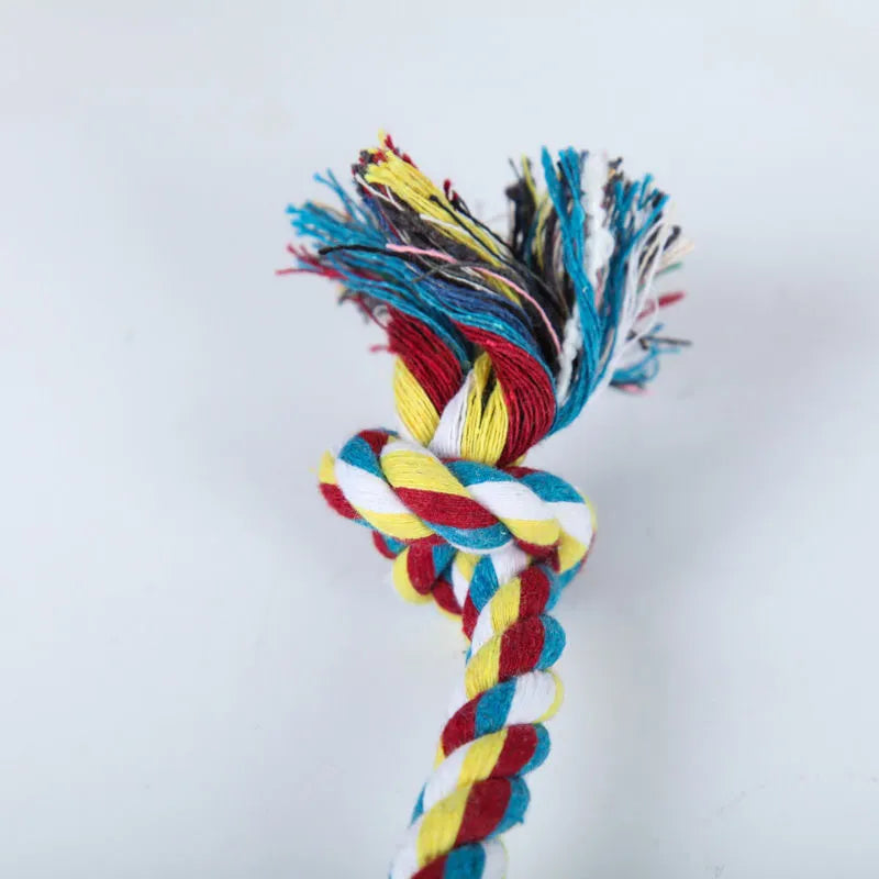 Pet dog bites rope toy