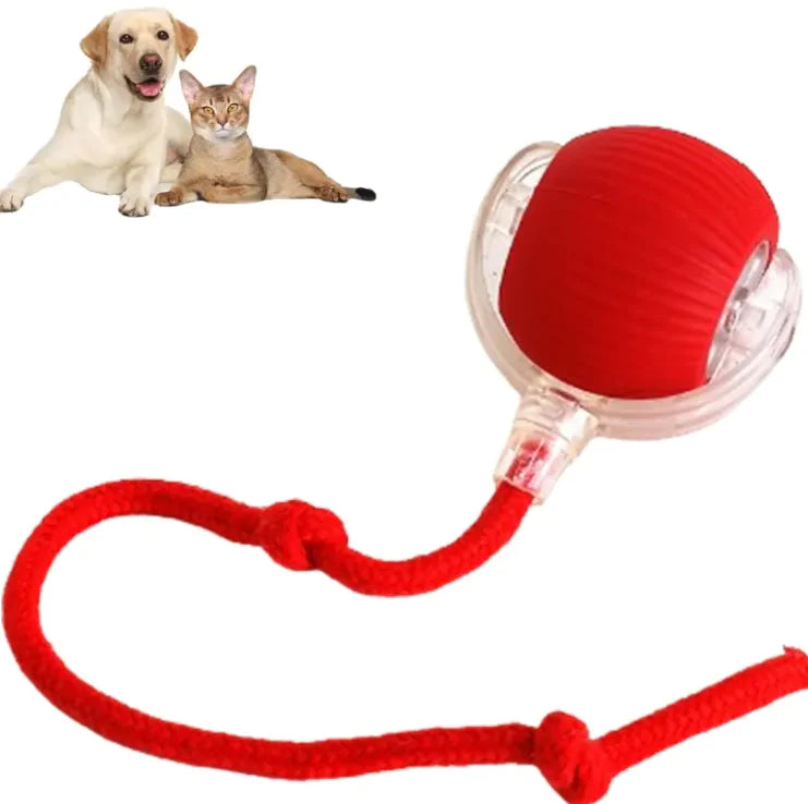 Pets Ball Toy