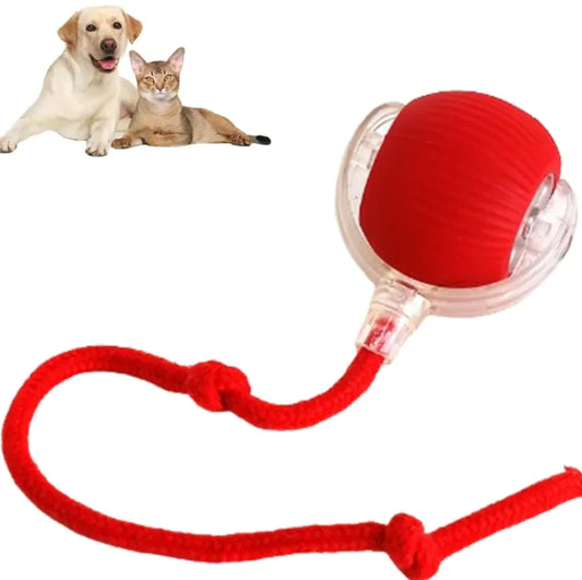 Pets Ball Toy