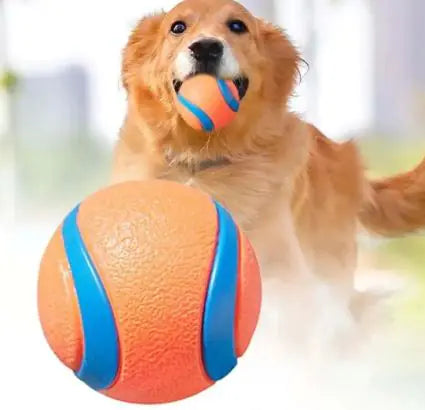 Dog Fetch Toy Ball