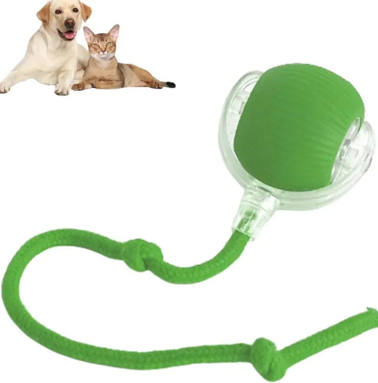 Pets Ball Toy